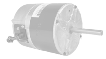 Look for the field labeled Model